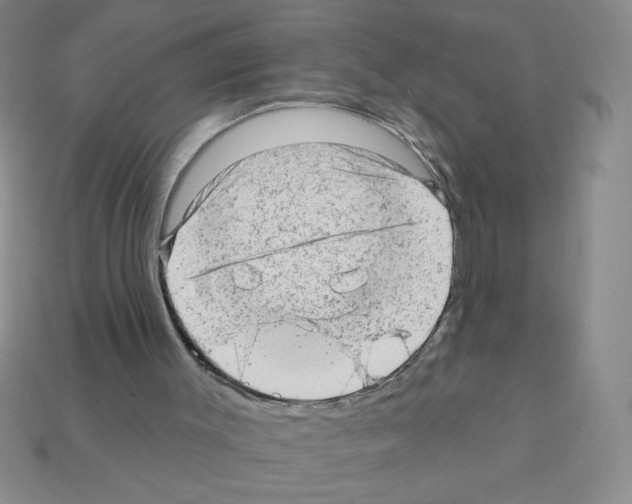 X0000111940003200909071309