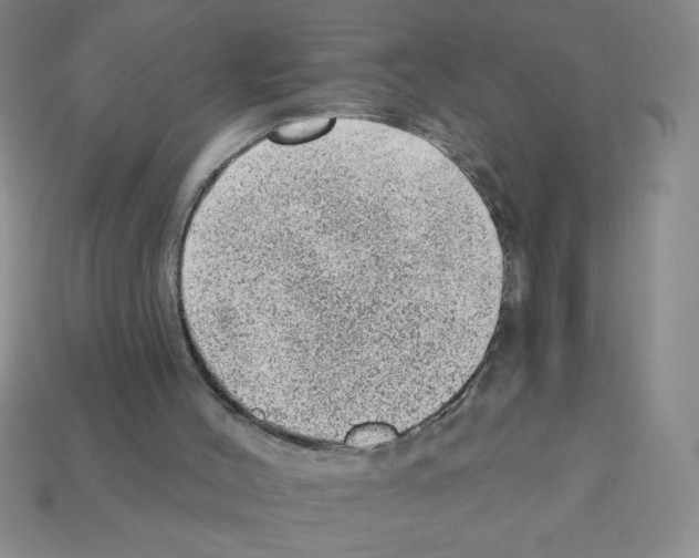 X0000111940004200909071309