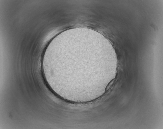 X0000111940005200909071309