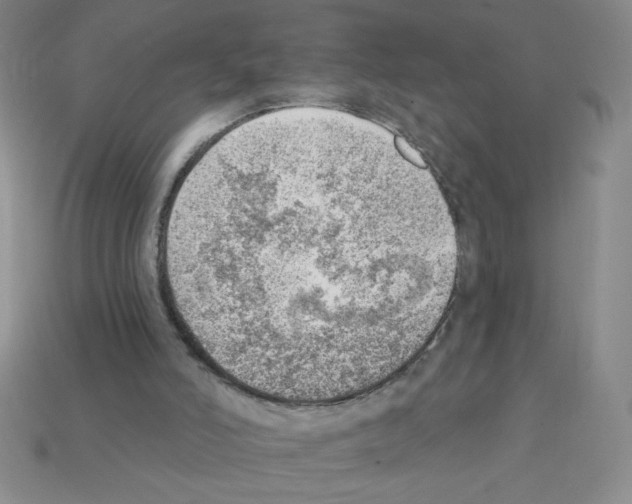 X0000111940006200909071309