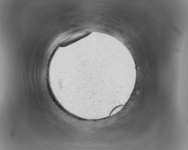 X0000111940007200909071309