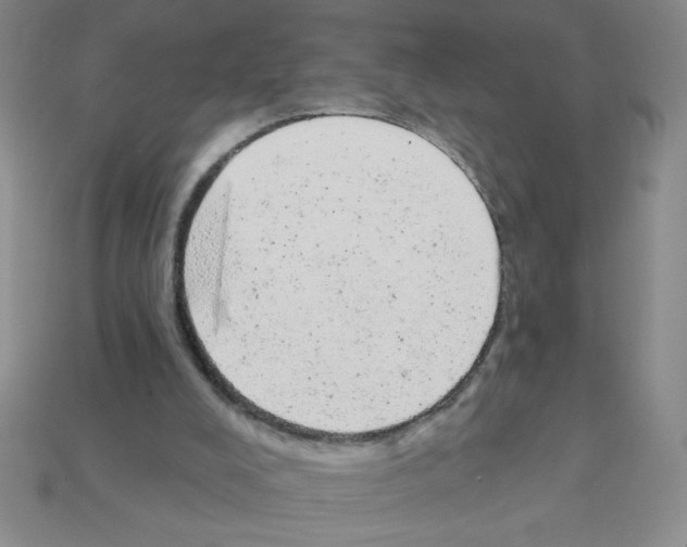 X0000111940008200909071309