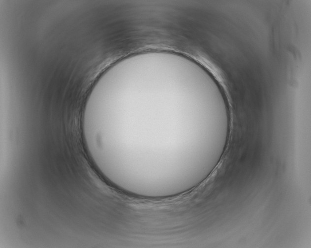 X0000111940009200909071309