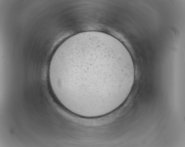 X0000111940010200909071309