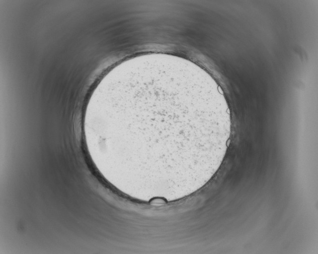 X0000111940011200909071309