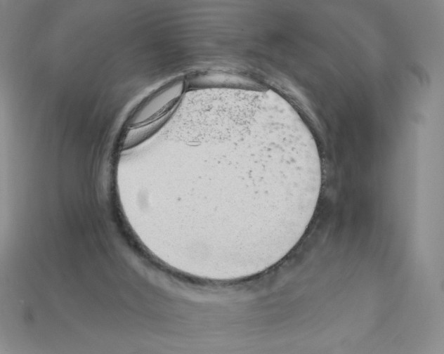 X0000111940012200909071309