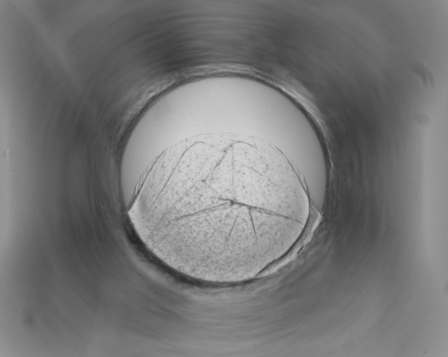 X0000111940013200909071309