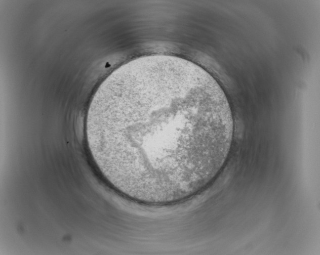 X0000111940014200909071309