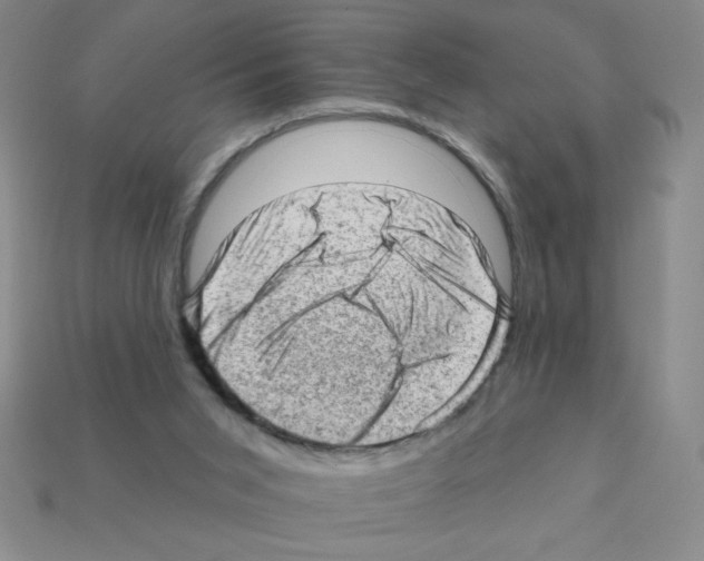 X0000111940015200909071309