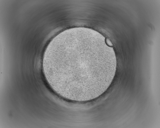 X0000111940016200909071309