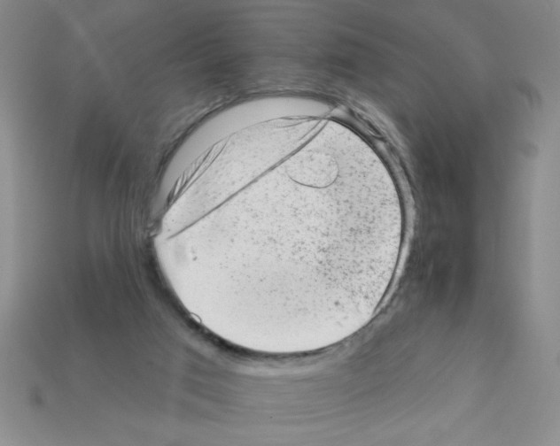 X0000111940017200909071309