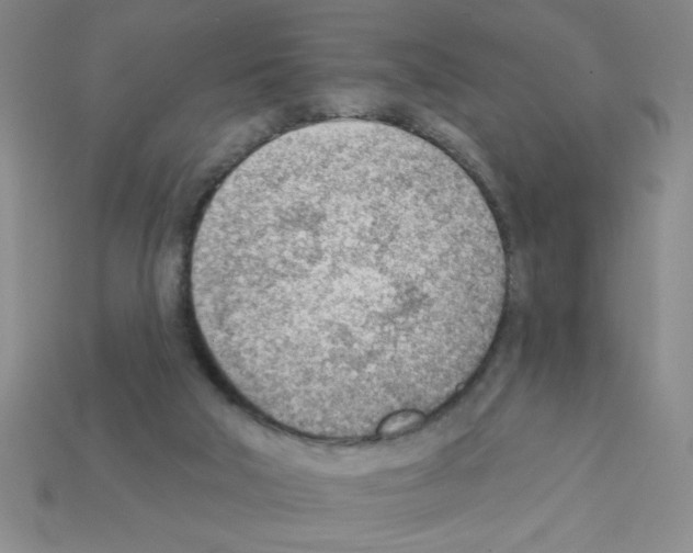 X0000111940018200909071309