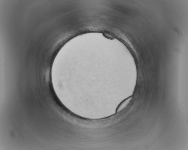 X0000111940019200909071309
