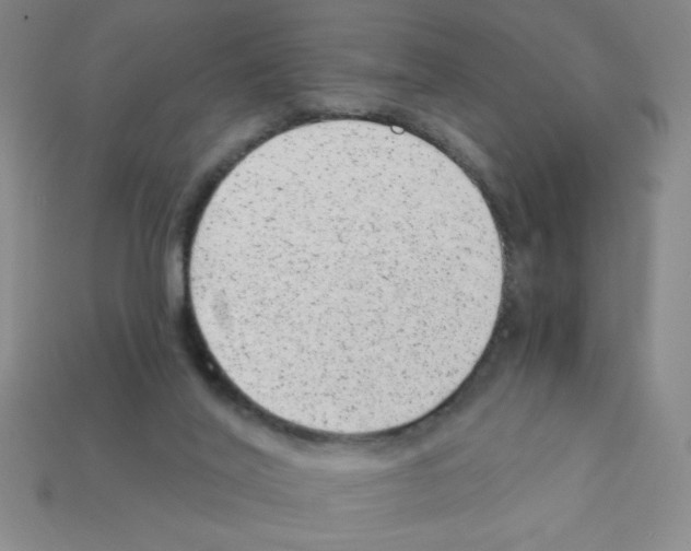 X0000111940020200909071309