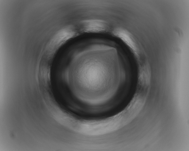 X0000111940021200909071309