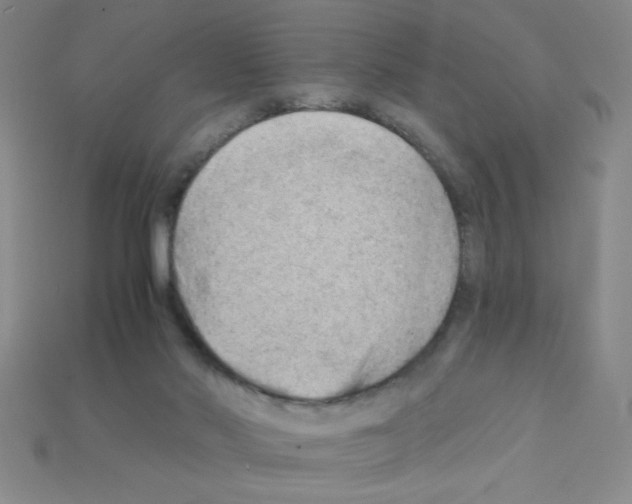X0000111940022200909071309