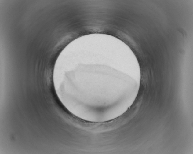 X0000111940023200909071309