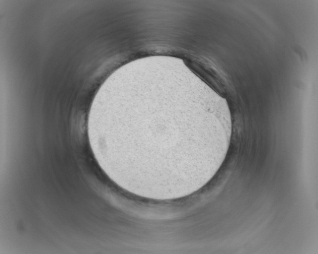 X0000111940024200909071309