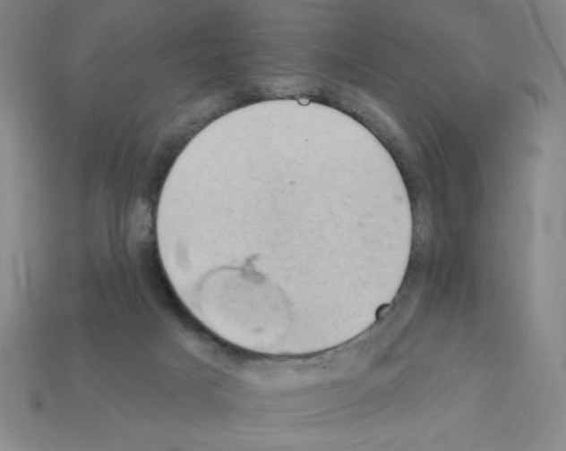 X0000111940025200909071309