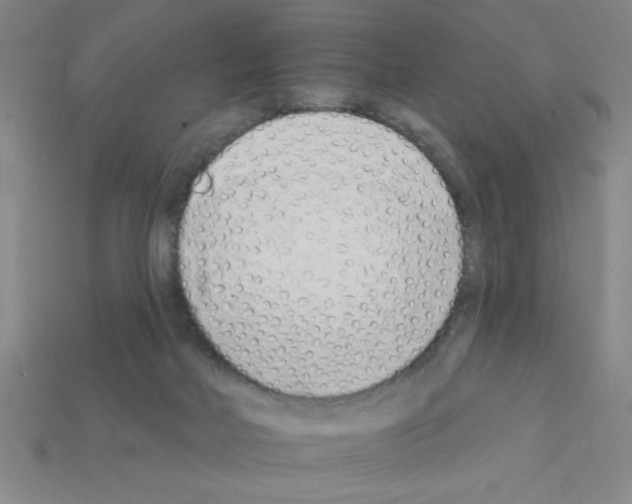 X0000111940026200909071309