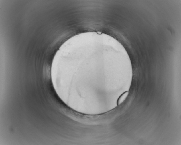 X0000111940027200909071309