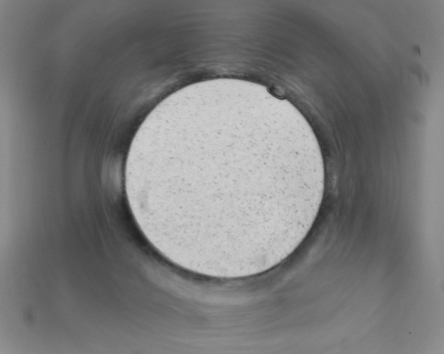X0000111940028200909071309