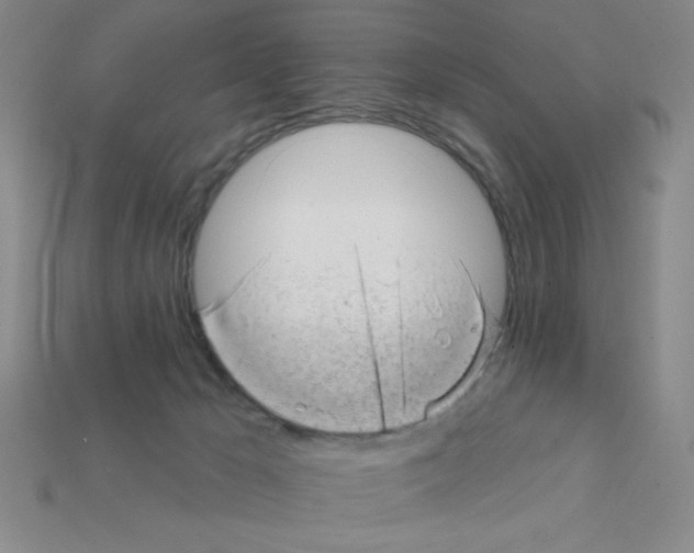 X0000111940029200909071309