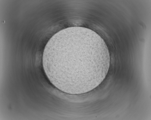 X0000111940030200909071309
