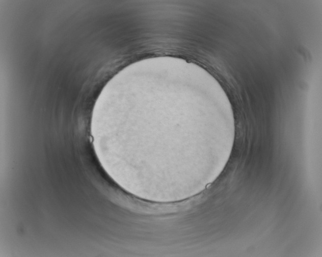 X0000111940031200909071309
