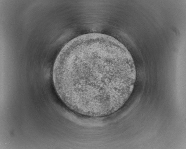 X0000111940032200909071309