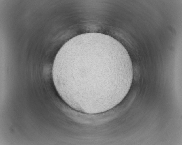 X0000111940034200909071308