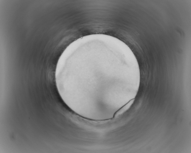 X0000111940035200909071308