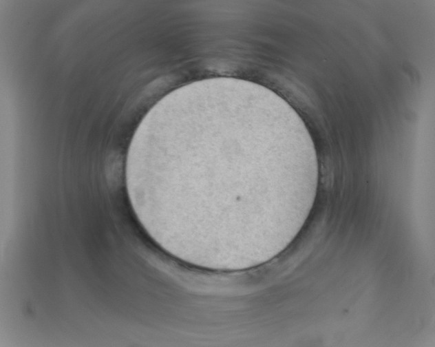 X0000111940036200909071308
