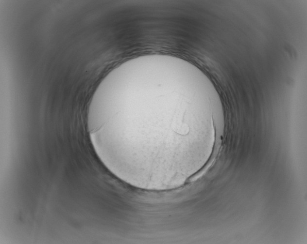 X0000111940037200909071308