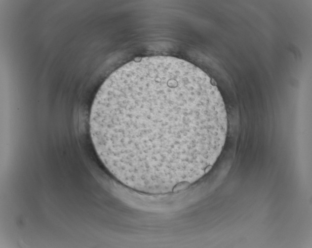 X0000111940038200909071308