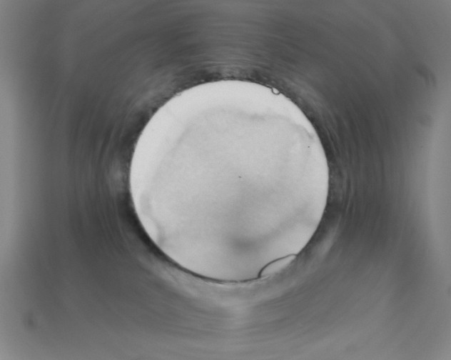 X0000111940039200909071308