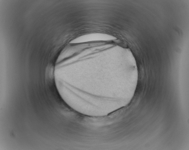 X0000111940041200909071308