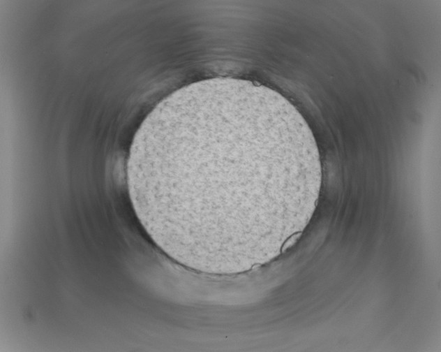 X0000111940042200909071308