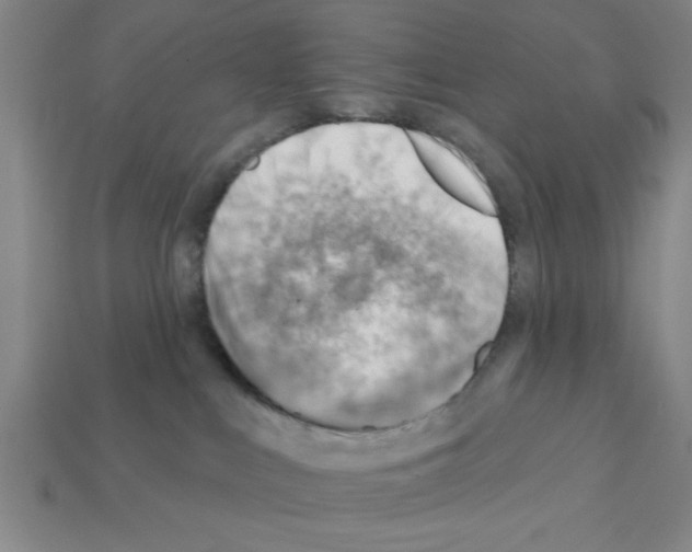 X0000111940043200909071308