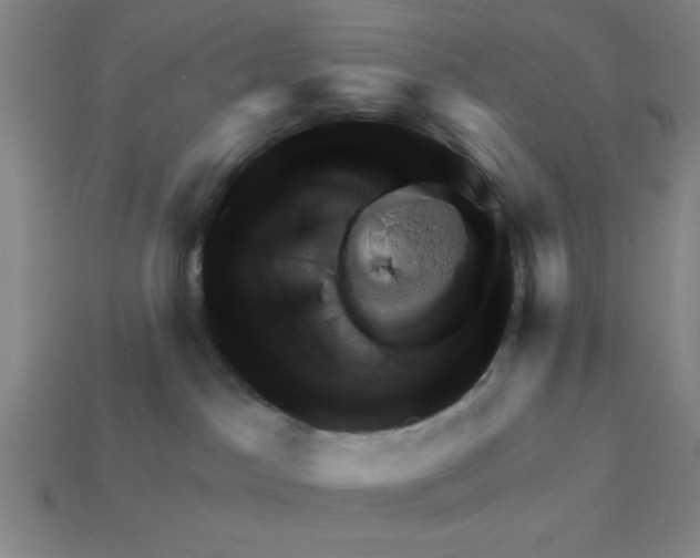 X0000111940045200909071308