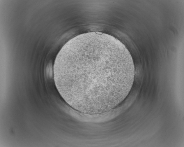 X0000111940046200909071308