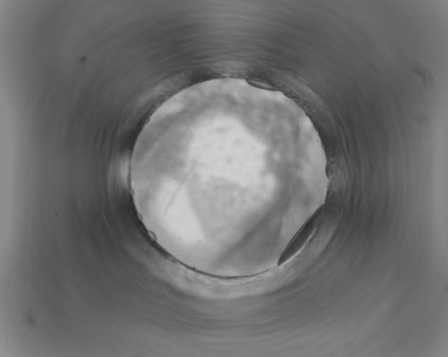 X0000111940047200909071308