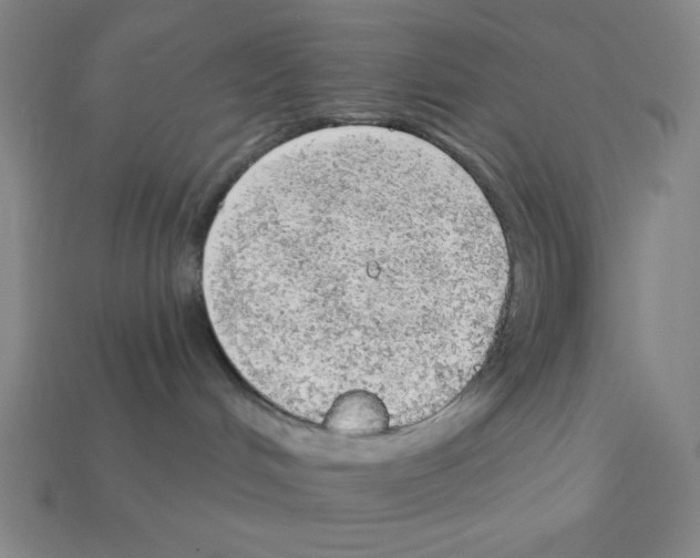 X0000111940048200909071308