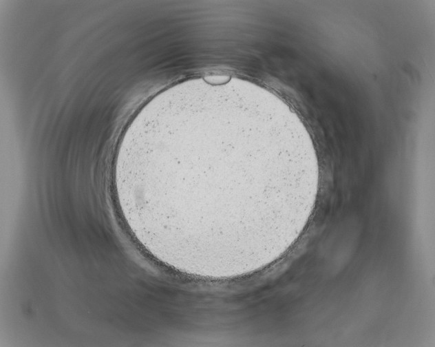 X0000111940049200909071308