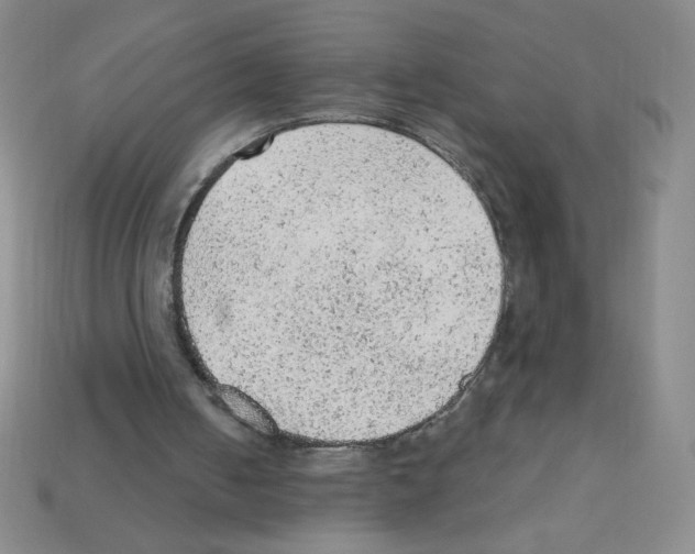 X0000111940050200909071308