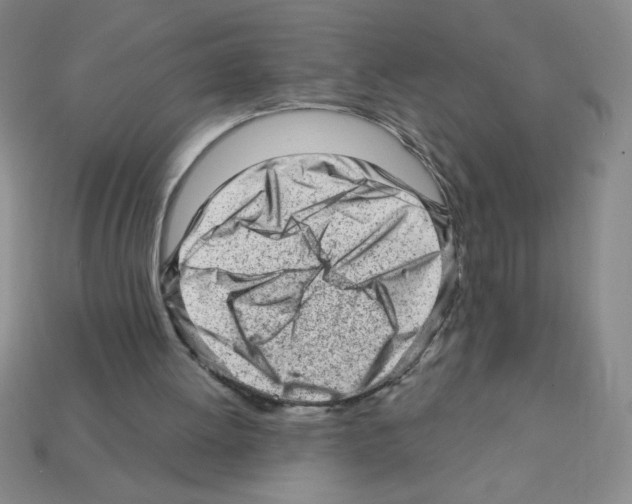 X0000111940052200909071308