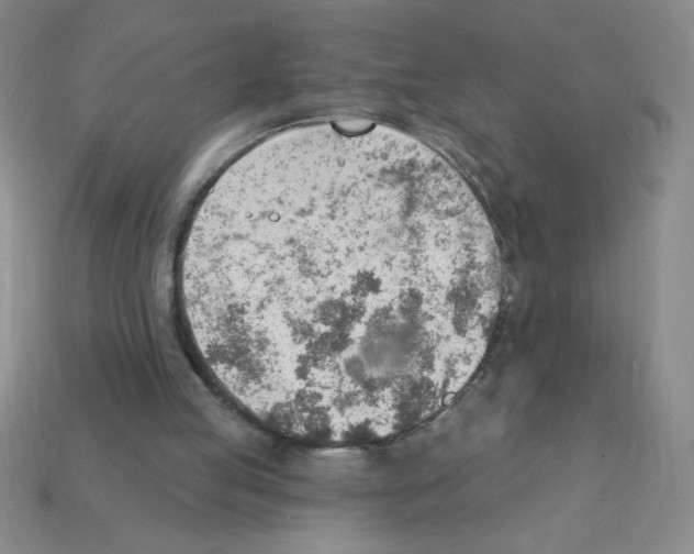 X0000111940053200909071308