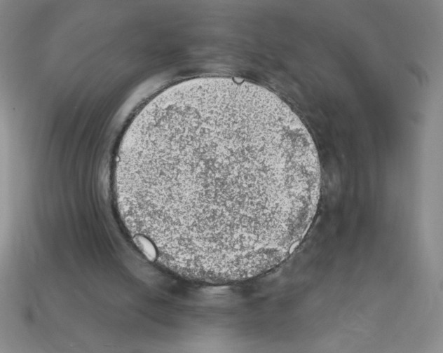 X0000111940054200909071308