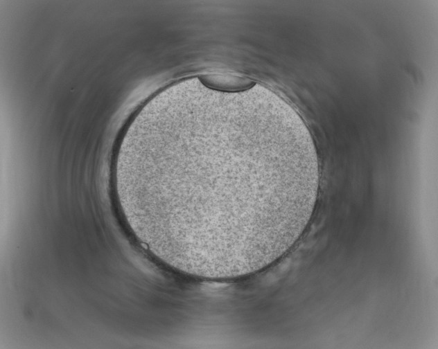 X0000111940055200909071308