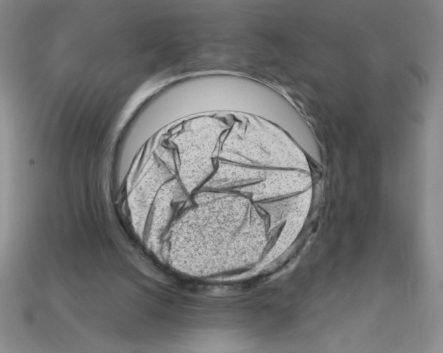 X0000111940056200909071308